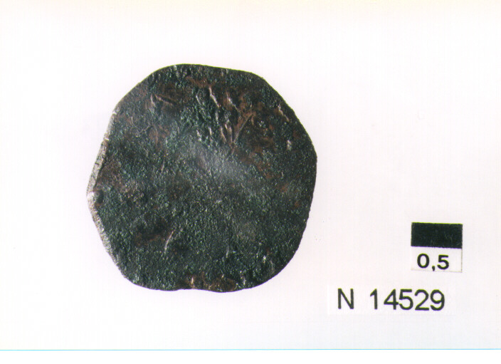 R/ scudo coronato contenente in una fascia iscrizione; V/ tre spighe legate da un ramoscello d'olivo (moneta, pubblica del popolo) (sec. XVII d.C)