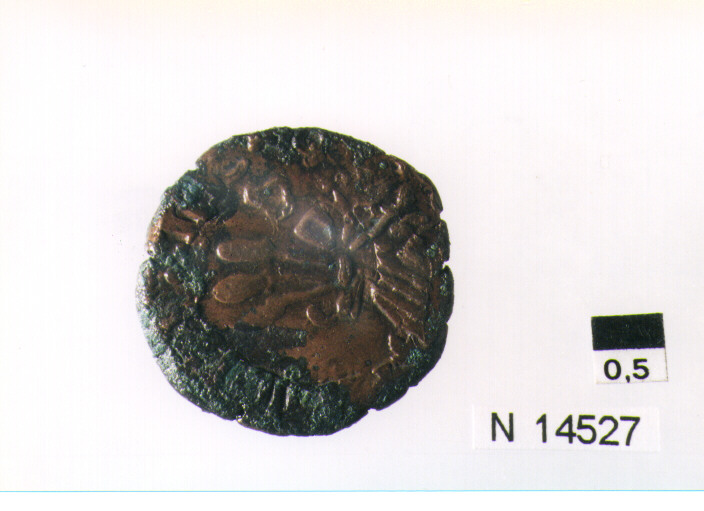 R/ scudo coronato contenente in una fascia iscrizione; V/ tre spighe legate da un ramoscello d'olivo (moneta, pubblica del popolo) (sec. XVII d.C)