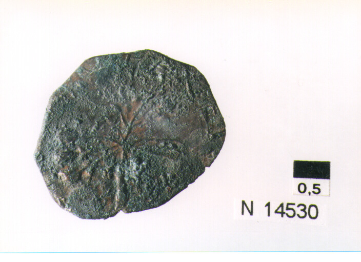 R/ scudo coronato contenente in una fascia iscrizione; V/ tre spighe legate da un ramoscello d'olivo (moneta, pubblica del popolo) (sec. XVII d.C)