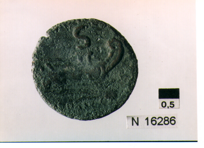 R/ testa di Giove laureato a destra dietro segno del valore; V/ prua di nave a destra sopra segno del valore, sotto iscrizione (moneta, semisse) (secc. III/ I a.C)