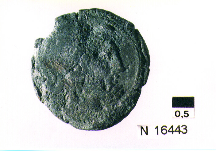 R/ testa di Giove a destra; V/ prua a destra (moneta, semisse) (sec. I a.C)