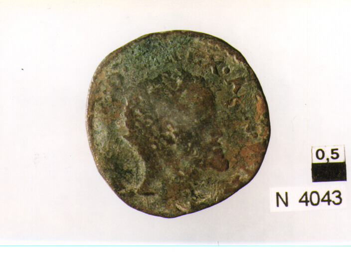 R/ testa con corona radiata a destra; V/ cornucopia con frutta e spighe (moneta, tornese) (sec. XVI d.C)