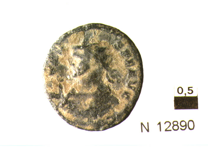 R/ busto drappeggiato e corazzato di imperatore Probo a sinistra; V/ Solea sinistra su quadriga con frusta e globo (moneta, antoniniano) (sec. III d.C)