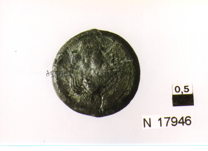 R/ testa elmata di Atena a sinistra; V/ gallo a destra, a sinistra stella, davanti iscrizione (moneta, litra) (sec. III a.C)