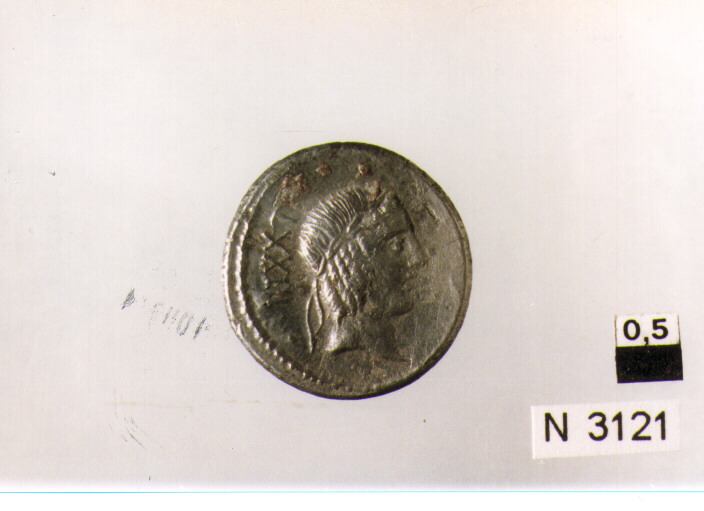 R/ testa laureata di Apollo a destra, dietro simbolo monetale; V/ cavaliere con ramo di palma a galoppo verso destra (moneta, quinario) (sec. I a.C)