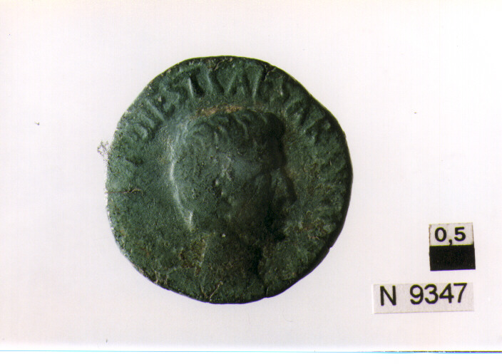 R/ testa nuda di Augusto a destra; V/ iscrizione nel campo (moneta, asse) (sec. I a.C)