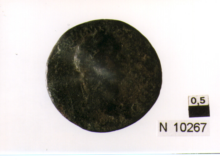 R/ testa laureata di Domiziano a destra; V/ figura femminile drappeggiatastante a sinistra con cornucopia (moneta, asse) (sec. I d.C)