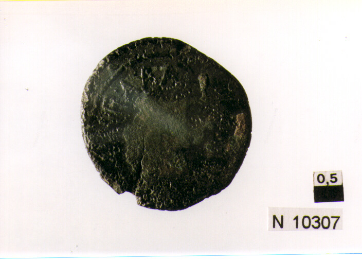 R/ testa nuda di Augusta a destra; V/ lettere in campo (moneta, asse) (secc. I a.C./ I d.C)