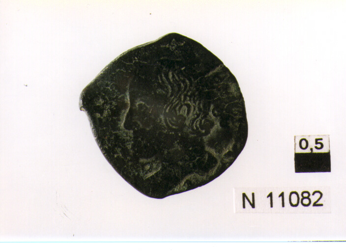 R/ busto a testa nuda volto a sinistra; V/ tosone sospeso volto a sinistra, nel mezzo globetto (moneta, tornese) (sec. XVII d.C)