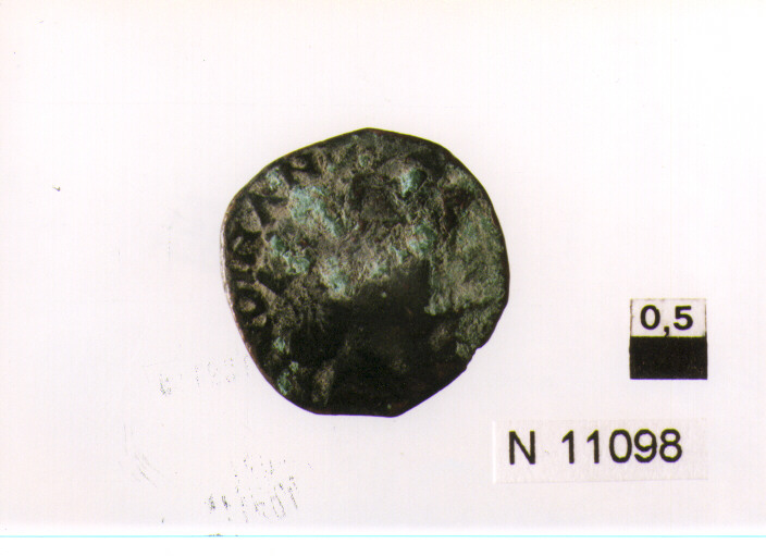 R/ testa a destra; V/ non identificabile (moneta, cavallo) (sec. XV d.C)