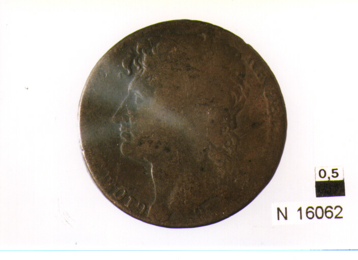 R/ testa nuda del re volta a sinistra; V/ iscrizione nel campo tra un ramod'olivo e uno stelo di grano con una spiga (moneta, tre grana) (sec. XIX d.C)