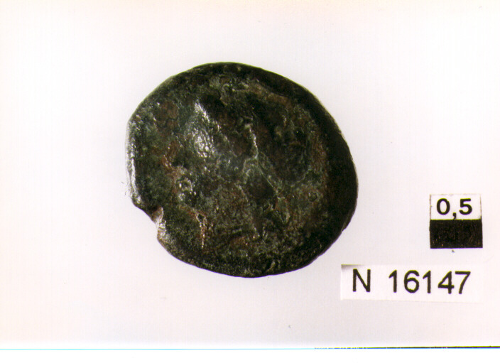 R/ testa femminile a sinistra; V/ leone che avanza a destra (moneta, doppia litra) (sec. III a.C)
