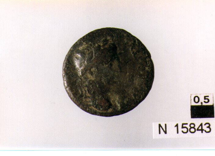 R/ testa laureata di Augusto a destra; V/ Gaio e Lucio Cesare a destra e sinistra, stanti frontalmente tra scudi e lance sopra impulum e lituus (denario) (sec. I a.C)