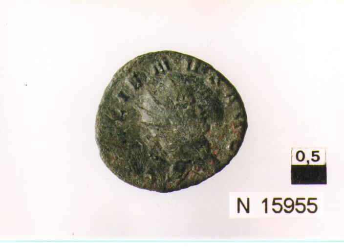 R/ testa radiata di Gallieno a destra; V/ antilope (moneta, antoniniano) (sec. III d.C)