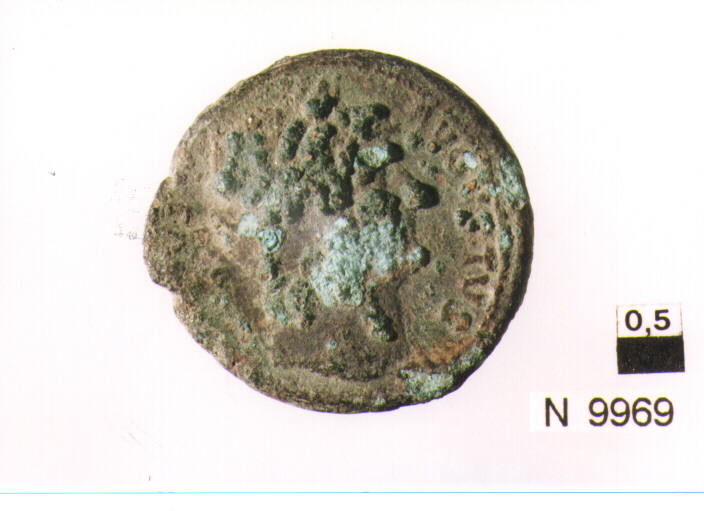R/ testa di Agrippa a sinistra; V/ Nettuno stante a sinistra con piccolo delfino e tridente (moneta, asse) (sec. I d.C)