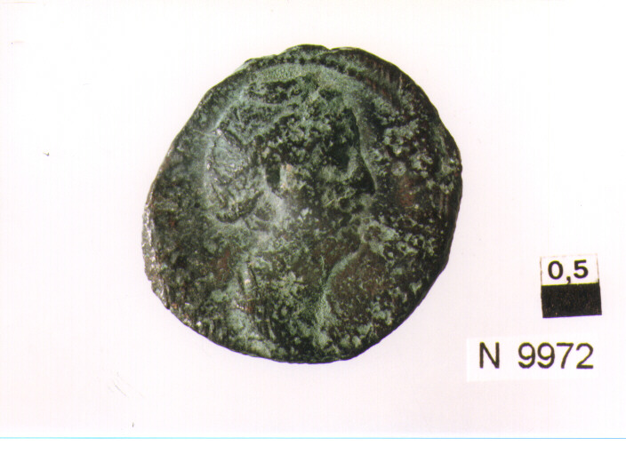 R/ testa volta a sinistra; V/ tosone appeso ad un fiocco volto a sinistra (moneta, tornese) (sec. XVII d.C)