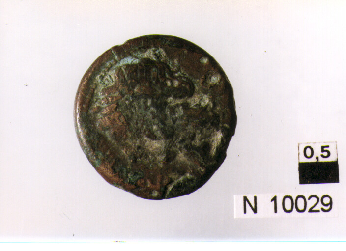 R/ testa di Ercole a destra, dietro tre globetti; V/ illeggibile (moneta, quadrante) (secc. II/ I a.C)