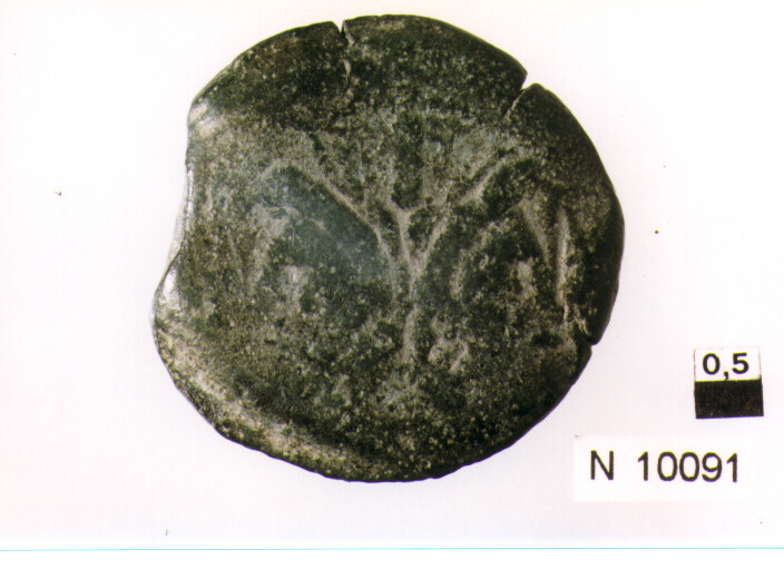 R/ busto drappeggaito di imperatore Commodo(?) a destra; V/ Aspergillus simpulum, lituus (moneta, asse) (sec. II d.C)