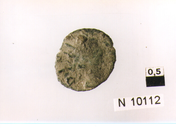 R/ testa nuda di Augusto a destra; V/ lettere nel campo (moneta, asse) (sec. I a.C)