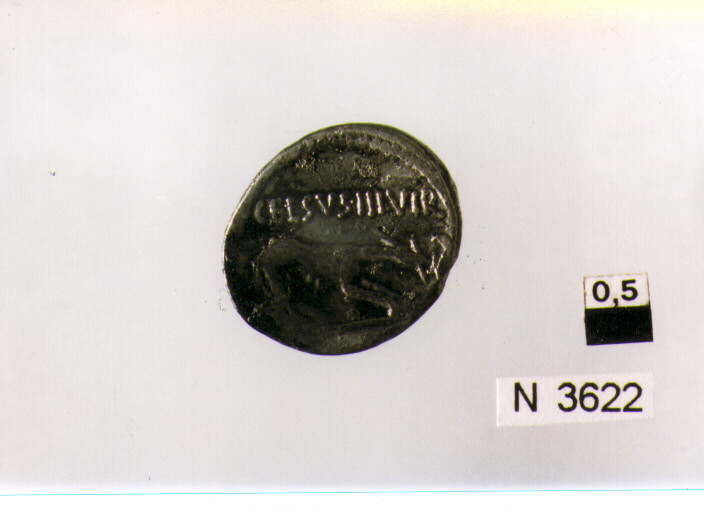 R/ testa di Giunone Sospita a destra; V/ cane a destra che posa il bastone sul fuoco, a destra un'aquila fa sulla fiamma (denario) (sec. I a.C)