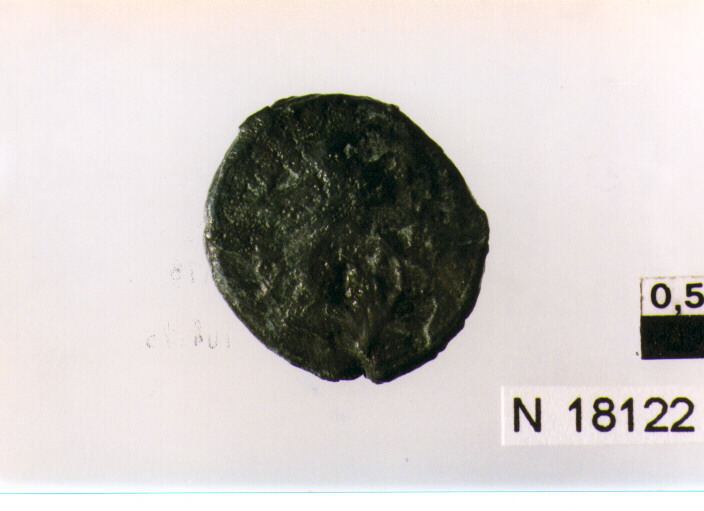 R/ testa di Pallade a sinistra; V/ Gallo stante a destra (moneta, litra) (sec. III a.C)