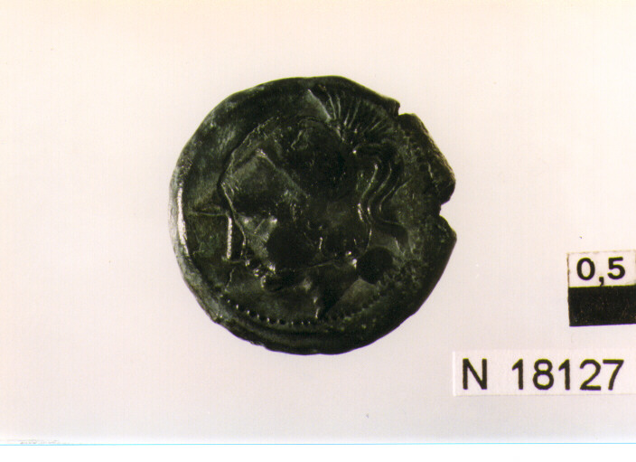R/ testa di Pallade con elmo corinzio a sinistra; V/ Galo stante a sinistra, dietro astro a cinque raggi (moneta, litra) (sec. III a.C)