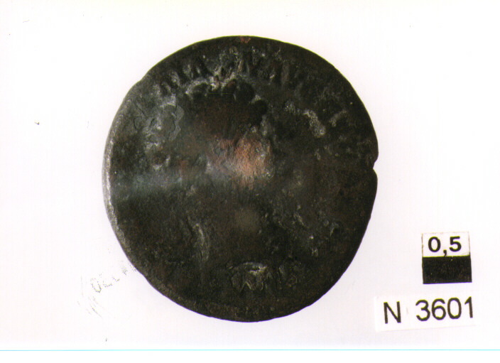 R/ testa di Domiziano a destra; V/ illeggibile (moneta, asse) (sec. I d.C)