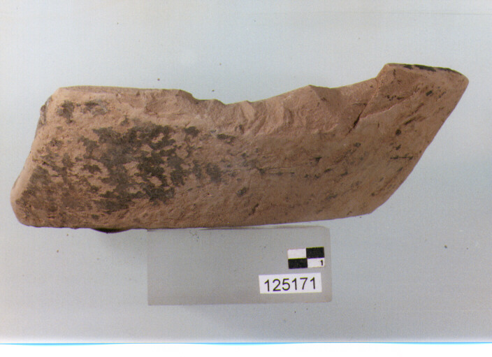 anfora/ fondo (sec. II a.C)