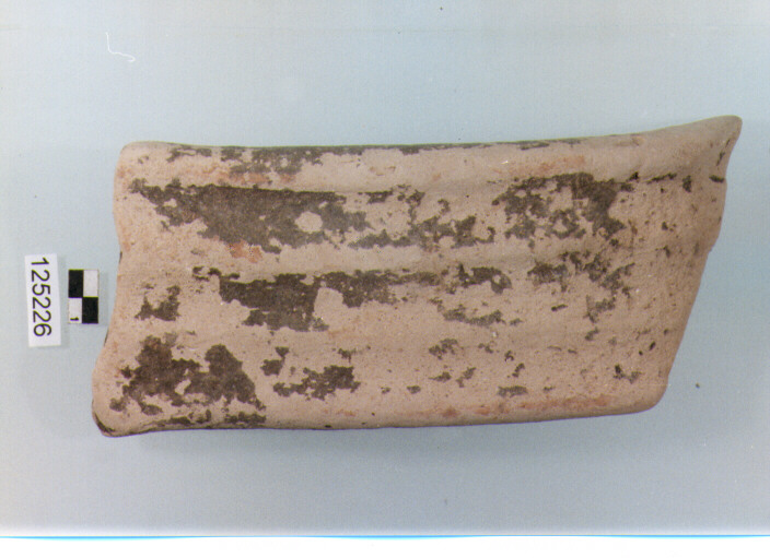 ansa a nastro (sec. II a.C)