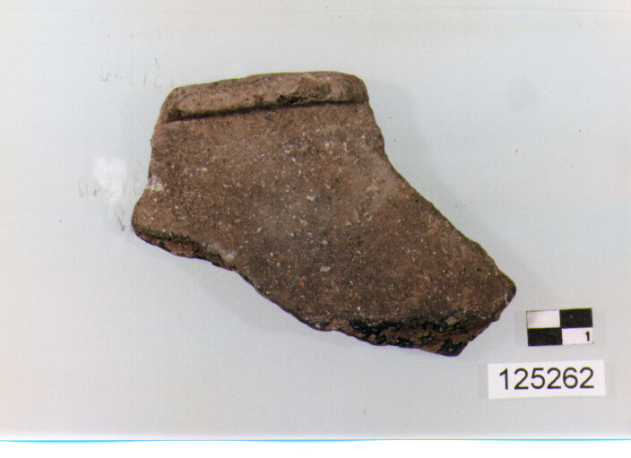 CASSERUOLA/ FORMA PARZIALMENTE RICOSTRUIBILE (sec. II a.C)