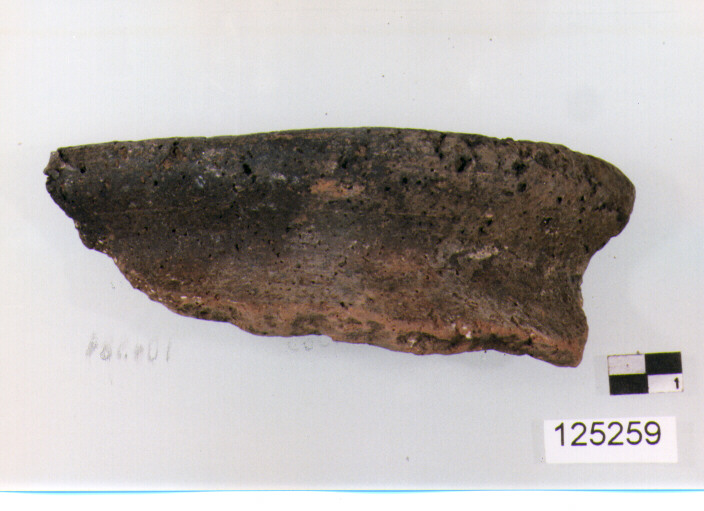 olla/ forma parzialmente ricostruibile (sec. II a.C)