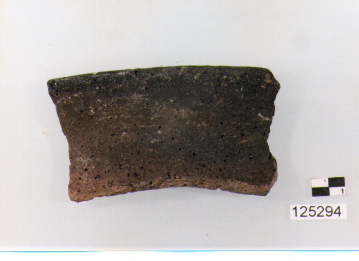 piatto/ forma parzialmente ricostruibile (sec. II a.C)