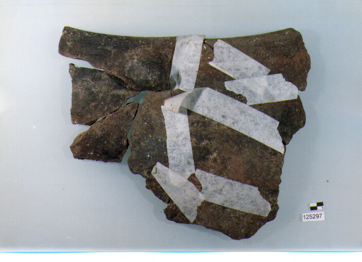 olla/ fondo (sec. II a.C)