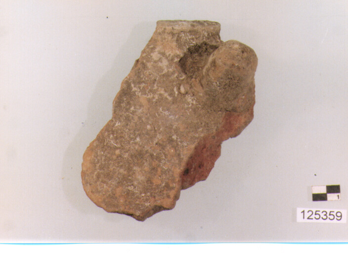 coperchio (sec. II a.C)