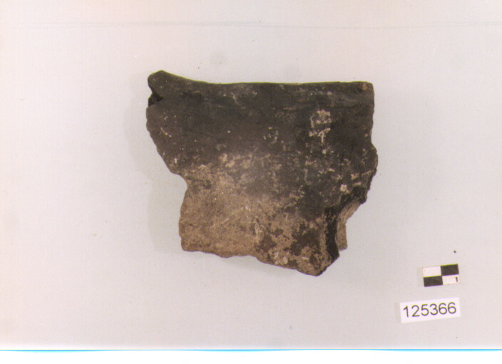 coperchio/ orlo (sec. II a.C)