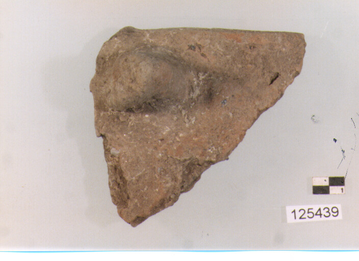 olla/ forma parzialmente ricostruibile (secc. IV/ III a.C)