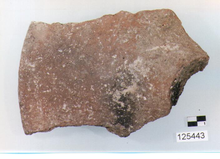 OLLA / FORMA PARZIALMENTE RICOSTRUIBILE (secc. IV/ III a.C)