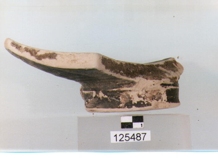 olla/ fondo (sec. II a.C)