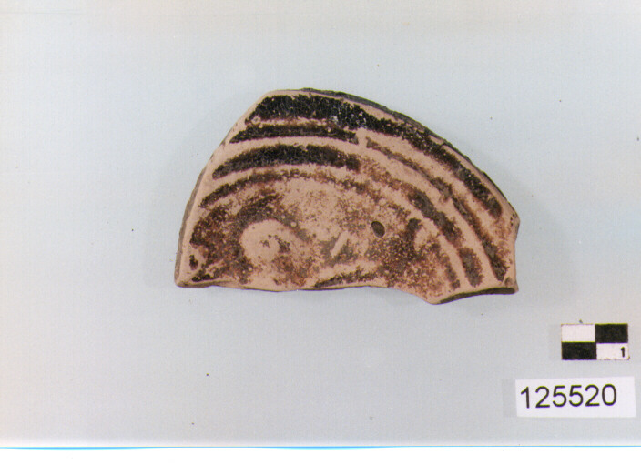 lucerna/ parete (secc. I/ II d.C)