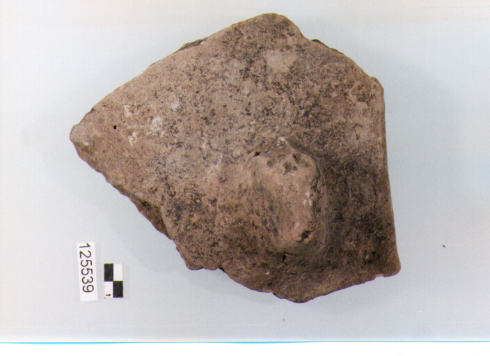 olla/ forma parzialmente ricostruibile (sec. II a.C)