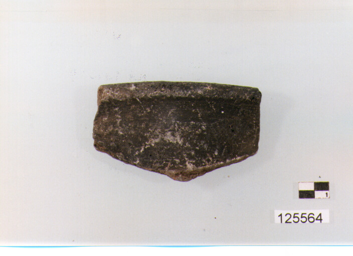 coperchio/ orlo (sec. II a.C)