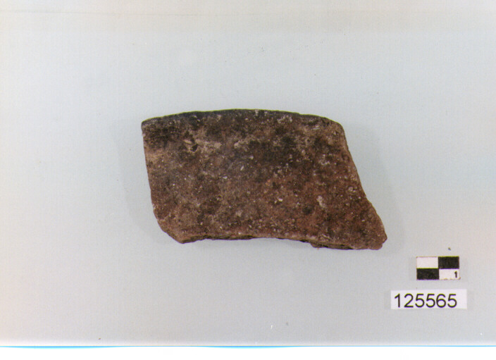 olla/ orlo (sec. II a.C)