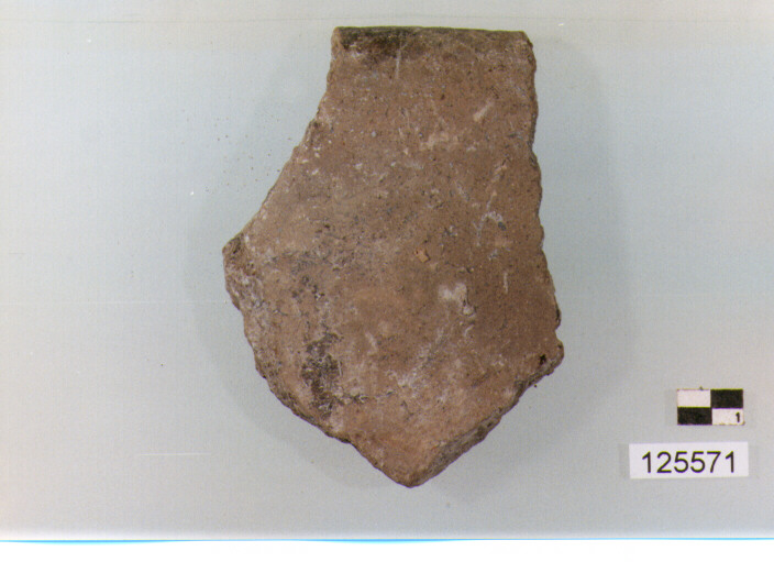 coperchio/ forma parzialmente ricostruibile (sec. II a.C)