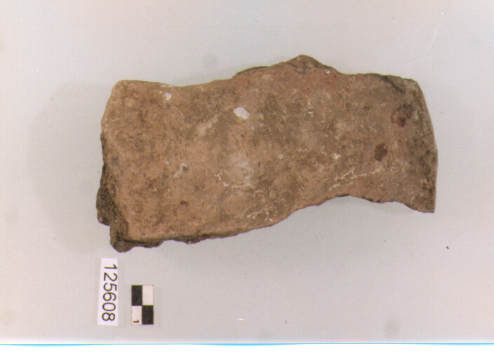 OLLA/ FORMA PARZIALMENTE RICOSTRUIBILE (sec. II a.C)
