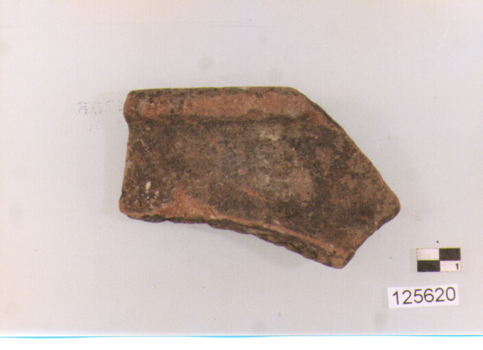 coppa/ frammento (sec. II a.C)