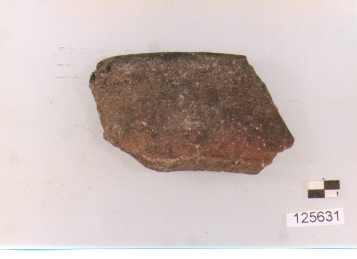 coperchio/ orlo (sec. II a.C)