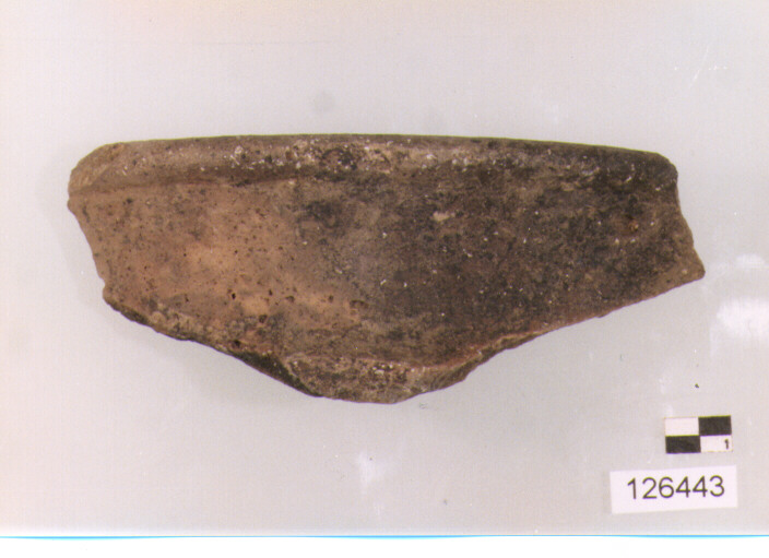 olla/ orlo (sec. II a.C)