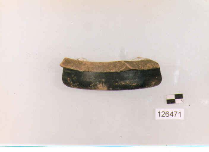 votivo zoomorfo/ frammento (sec. II a.C)