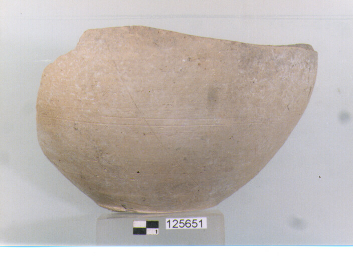 olla/ forma parzialmente ricostruibile (secc. VI/ XIV d.C)