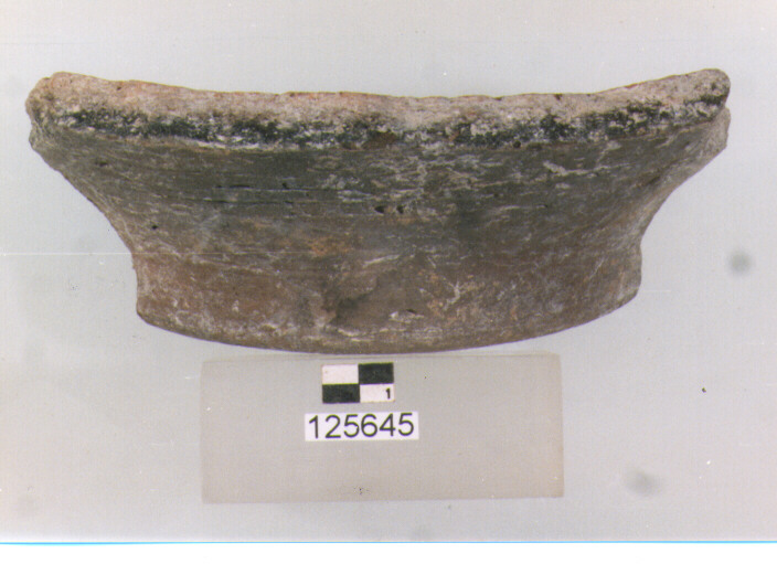 olla/ fondo (secc. VI/ XIV d.C)